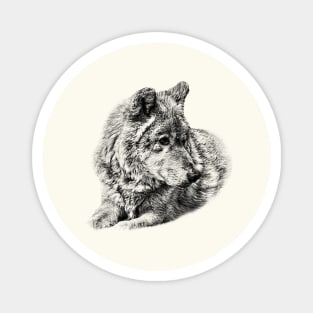 Wolf portrait Magnet